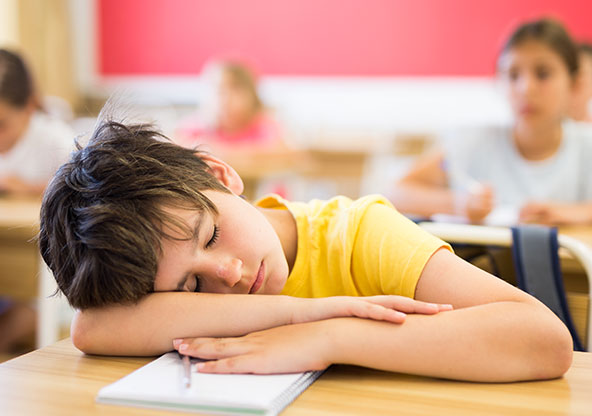 Young boy asleep in class